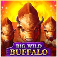 game logo by Belatra Games on paradise8casino.ca